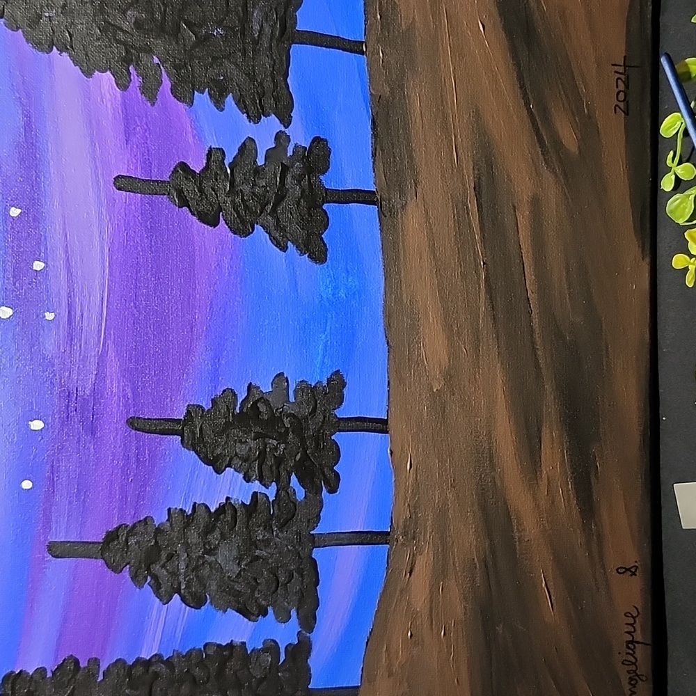 Starry night 🌃 - Picture 3 of 3